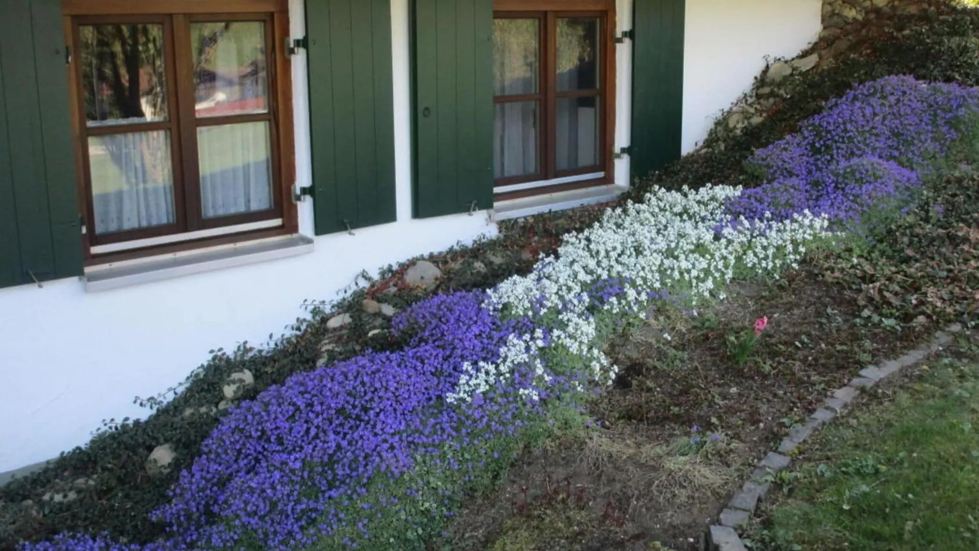 Nice Apartment In Bavaria Oberstaufen